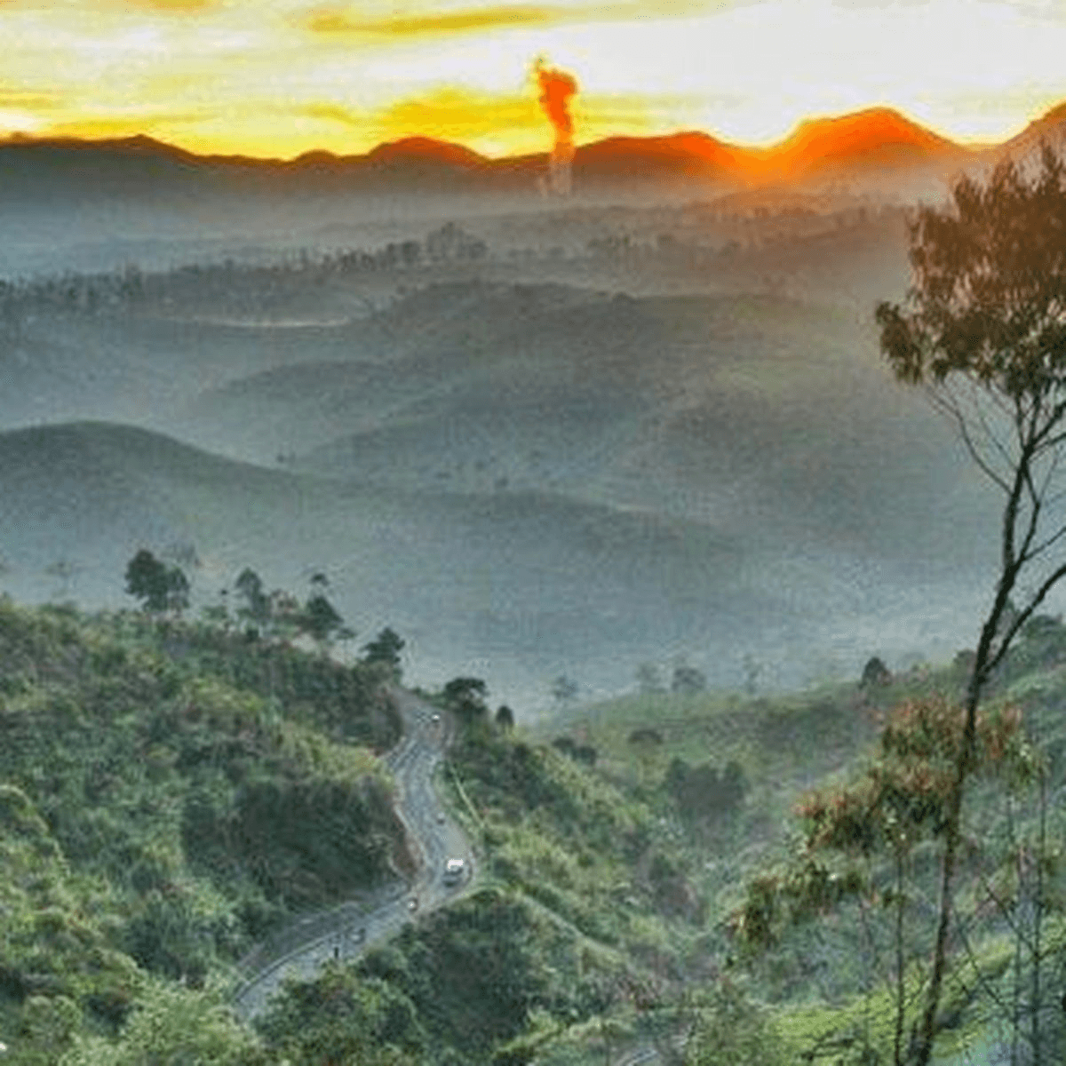 Pangalengan - Foto 3